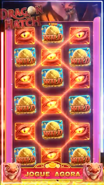 5win