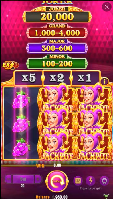 556bet