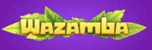Bzibet com