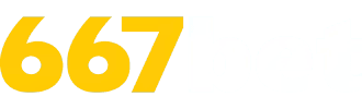 Vaidebet - 135bet
